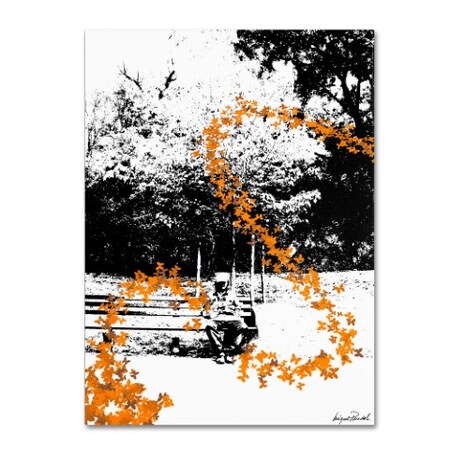Trademark Fine Art Miguel Paredes 'Orange Butterflies' Canvas Art, 18x24 MP0027-C1824GG